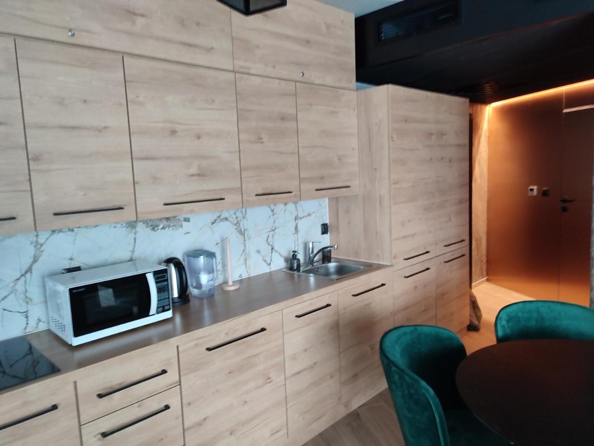 413 Biala Perla Apartment Stronie Slaskie